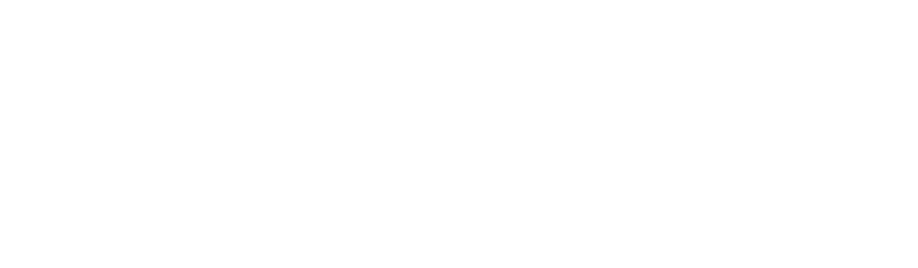 Logo X300 GT