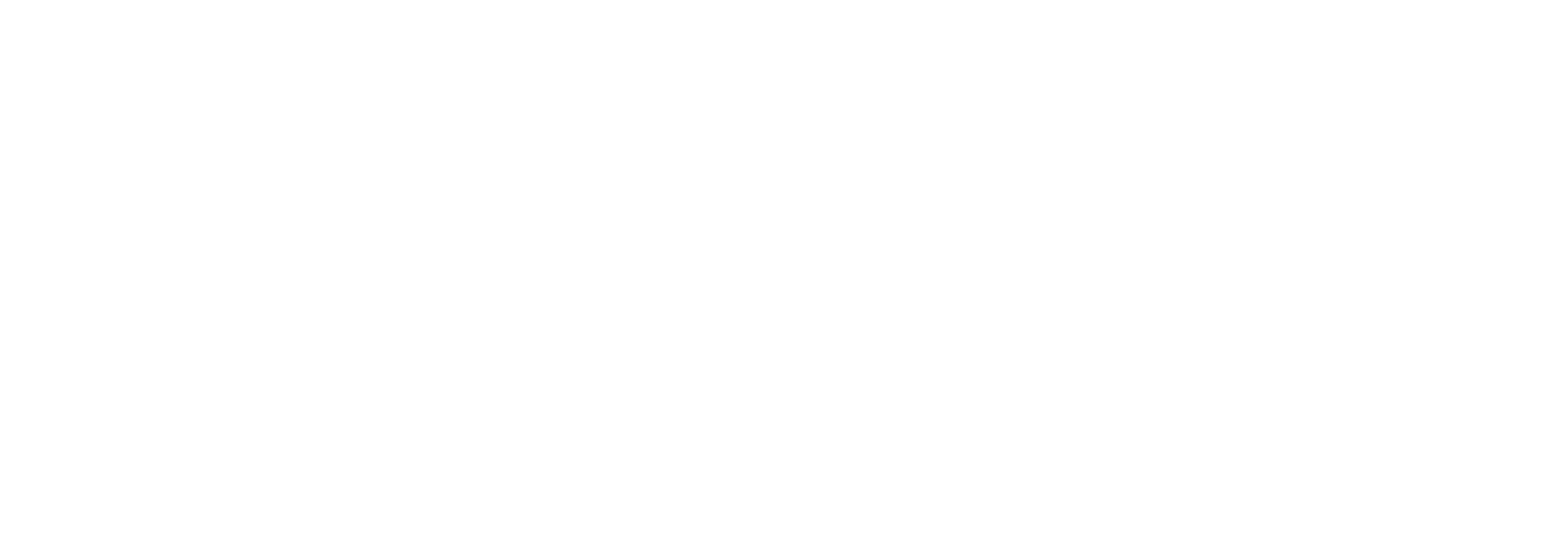 X300 GT