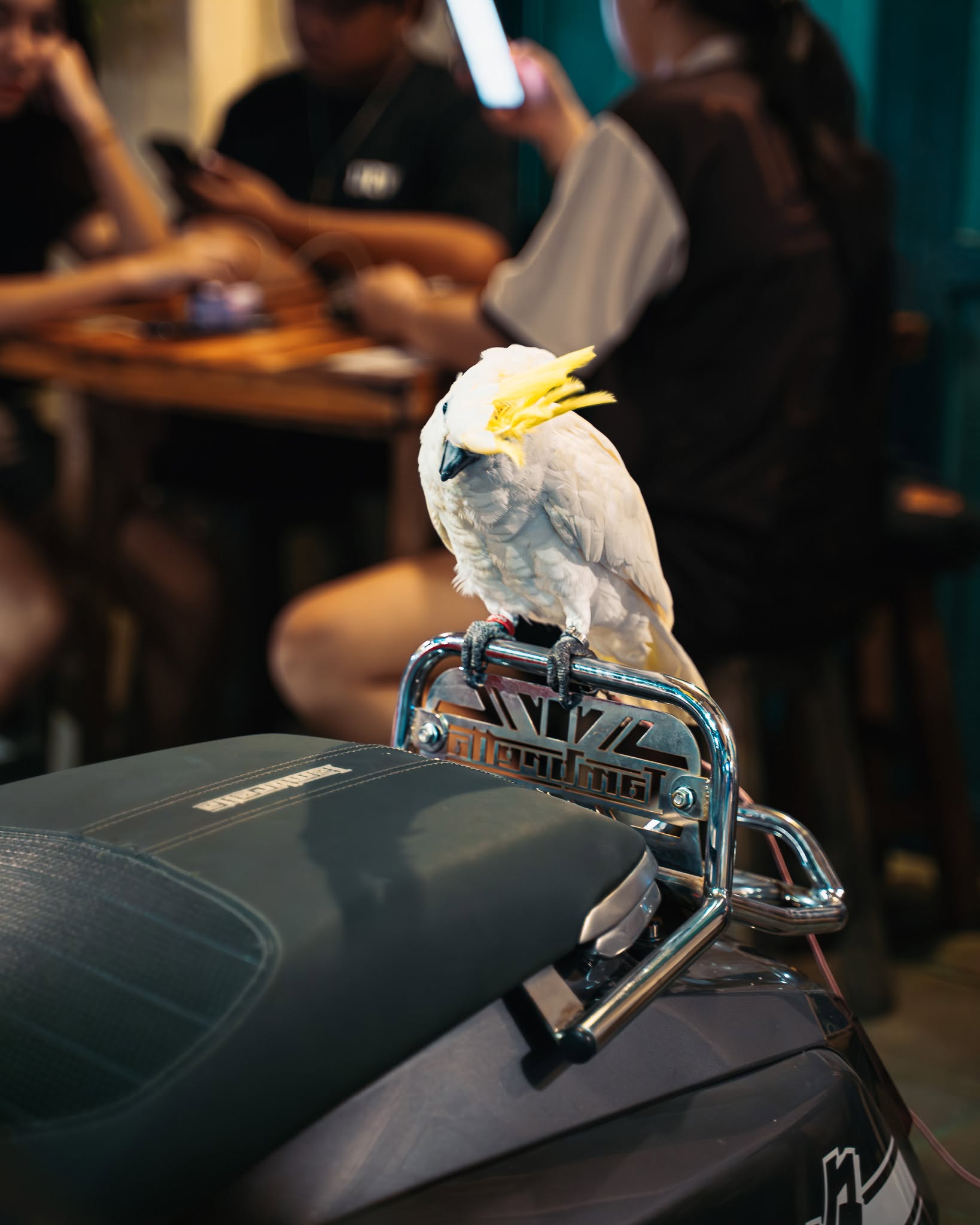 Lambretta-Meeting-nightride-phranakhon-015
